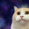 あいららーにょ's profile picture