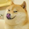 TG Cheems's profile picture