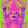 Фото профиля discocat