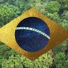 Andrea 🇧🇷 profil fotoğrafı