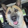 Patty champion's profile picture