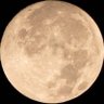 Profilbild von 明太子