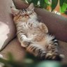 Aimi profil fotoğrafı