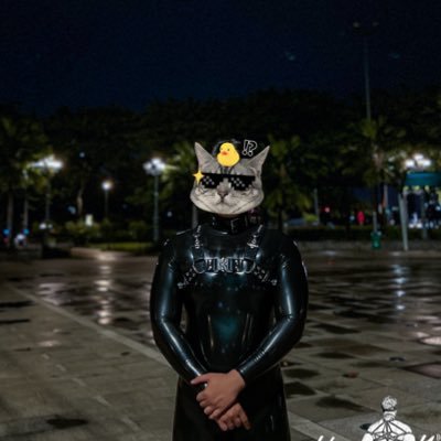 hansnguyensm's profile picture