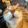 juicyfruity's profile picture