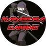 Profilbild von Hayabusa 天