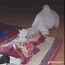 Фото профиля مطنوخ