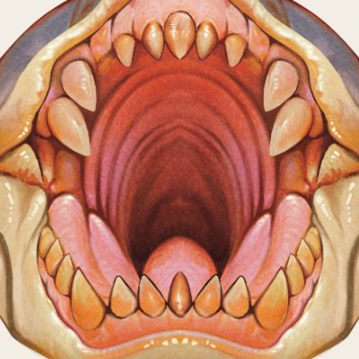 Christopher Stoll's profile picture