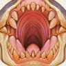 Christopher Stoll's profile picture