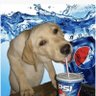merj's profile picture