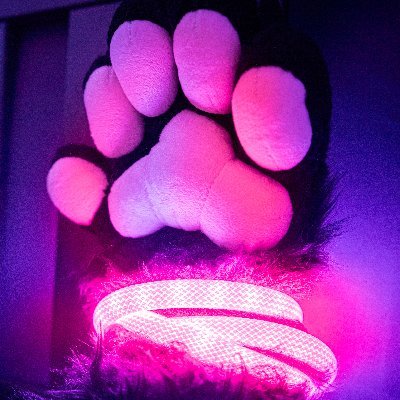 RAVELIGHTS's profile picture