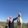 Profilbild von أَميرة