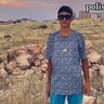 dükarşidir's profile picture