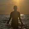 شريف الخولي profil fotoğrafı
