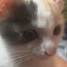 Фото профиля ゆきたかな