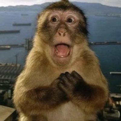 H3T3R0 Curioso's profile picture