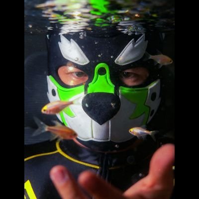 虎浩🐯's profile picture