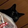 なつ丸's profile picture