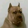 GaRb's profile picture