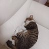 あーちゃん profil fotoğrafı