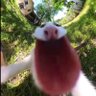 naerin's profile picture