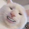 konichiwa's profile picture