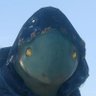 acidcross's profile picture
