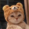 Alina's profile picture