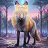 Kelus P Fox profil fotoğrafı