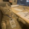 Maco01 profil fotoğrafı