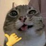 Profilbild von 뚜둥