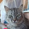 Kadir Dz profil fotoğrafı