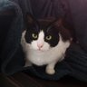 editedbyarnas's profile picture