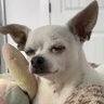 Profilbild von Deuce