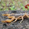 Фото профиля Danfergut