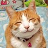 Profilbild von 荒鷲