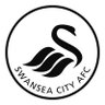 Swansea City ( One Team In Wales ) 的头像