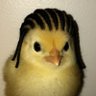 Max's profile picture