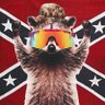 Noble Ambition's profile picture