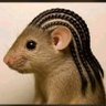 Profilbild von J. Oos's wife.