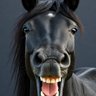 Sir John A's Horse profil fotoğrafı