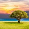 劉權賢 profil fotoğrafı