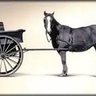 Orson Carte's profile picture