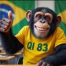 Bostileiro Médio profil fotoğrafı