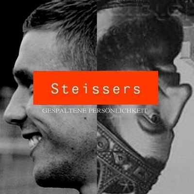 diesteissbeine's profile picture