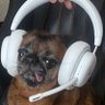 Profilbild von ram