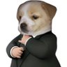 Profilbild von Veer