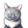 Profilbild von ohagi