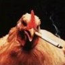 trim chicken 的头像
