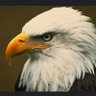 American Patriot 🇺🇸🇺🇸🇺🇸🇺🇸 profil fotoğrafı